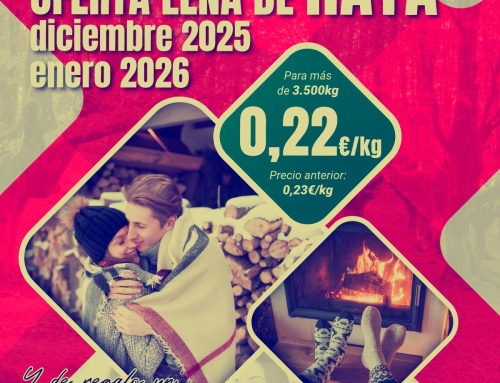 Leña de haya en oferta