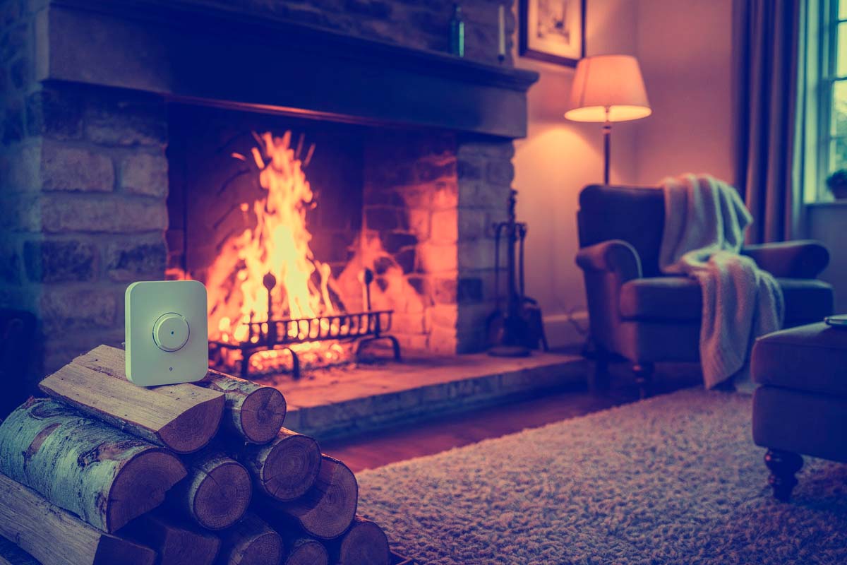 Leña de haya en oferta salón